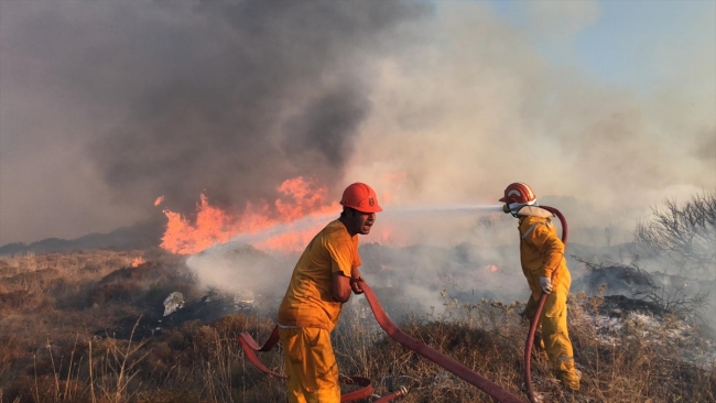 Bodrum'da makilik alanda çıkan yangın söndürüldü
