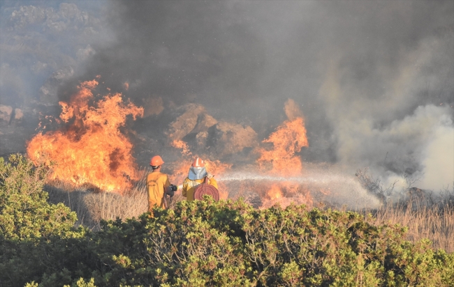 Bodrum'da makilik alanda çıkan yangın söndürüldü