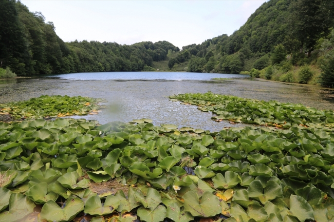 Ordu Ulugöl dört mevsim ziyaretçi ağırlıyor