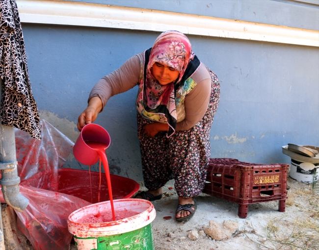 Hatay'da domates salçasının sofralara yolculuğu başladı