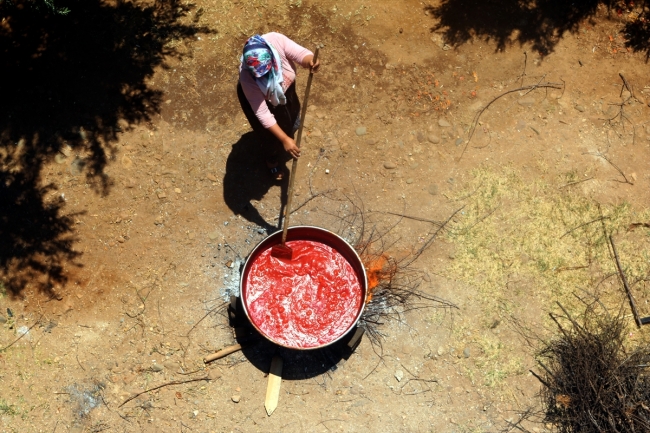 Hatay'da domates salçasının sofralara yolculuğu başladı