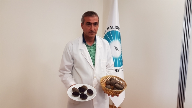 Niğde'nin tescilli 'ilk mor' patatesi