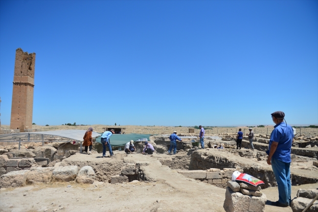 Harran'ı UNESCO heyecanı sardı