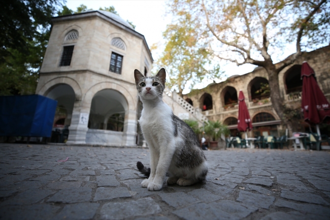 Bursa'da ticaretin kalbi: Hanlar Bölgesi