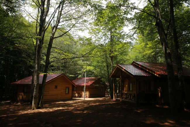 Doğayla iç içe Eriklitepe Tabiat Parkı misafirlerini bekliyor