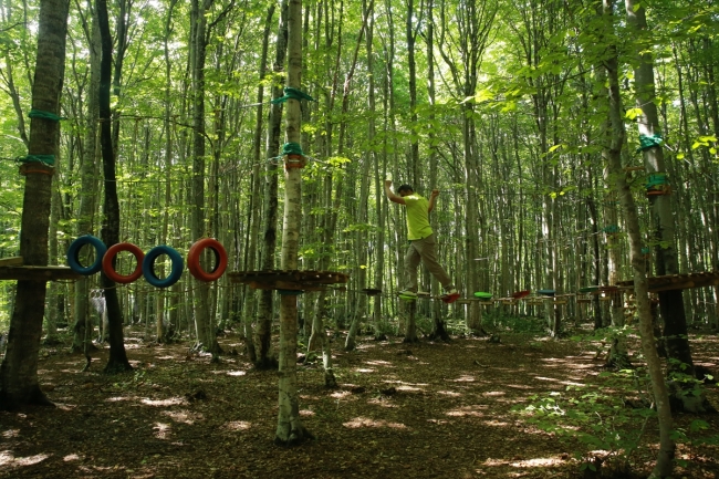 Doğayla iç içe Eriklitepe Tabiat Parkı misafirlerini bekliyor