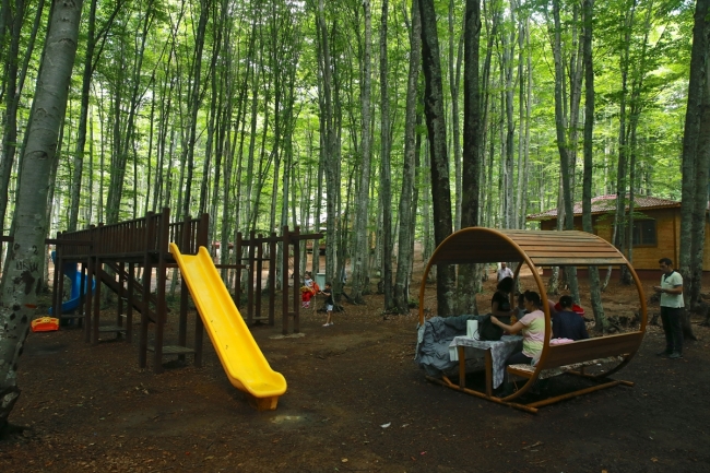 Doğayla iç içe Eriklitepe Tabiat Parkı misafirlerini bekliyor