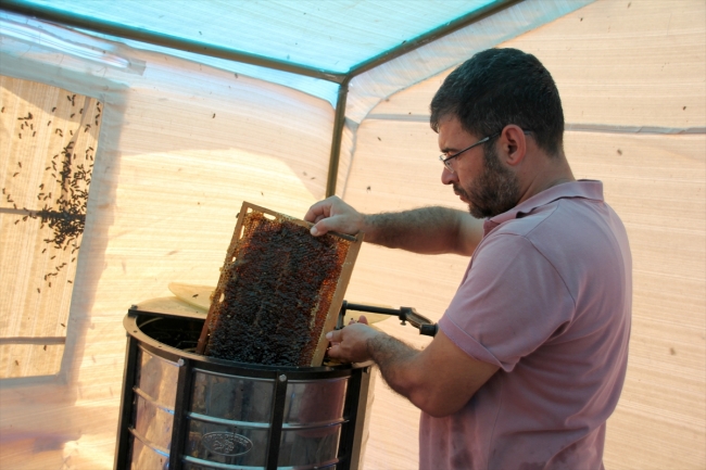 Toroslar'da üreticiler bal sağımına başladı