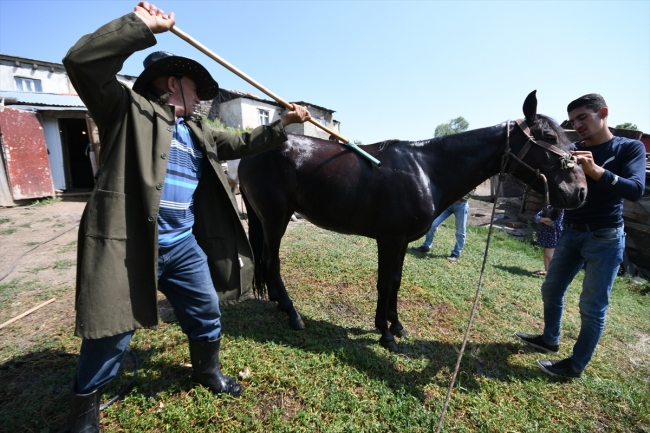 Sıcaktan bunalan atları yıkayarak serinletiyorlar