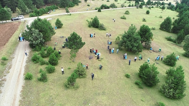 "Kastamonu'muzu Temizliyoruz" projesi ile 30 ton çöp toplandı
