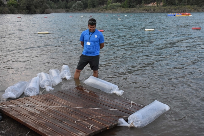 Muğla'da 30 bin yavru sazan gölete bırakıldı