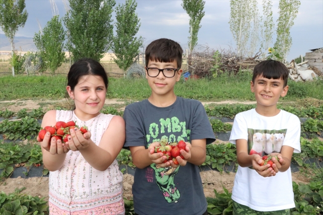 Alternatif tarım ürünleri müşterisiyle tarlada buluşuyor