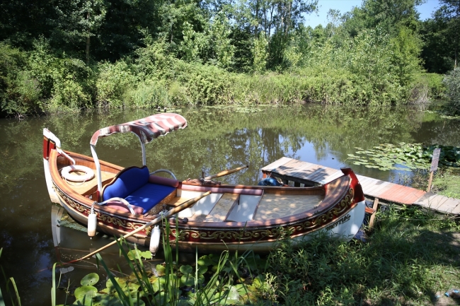 Beyaz nilüferleri, ahşap yürüyüş yollarıyla Acarlar Longozu