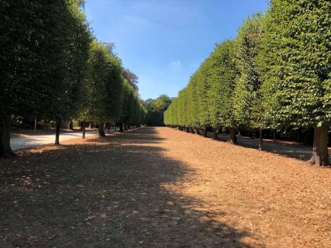 Almanya'da sıcak hava hayatı olumsuz etkiliyor