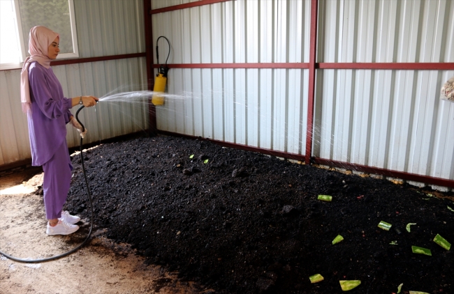 Genç girişimci eleştirilere aldırmadı, kendi solucan gübresi tesisini kurdu