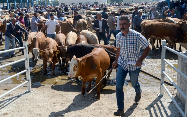 Doğu Anadolu'dan batı illerine kurbanlık sevkiyatı başladı