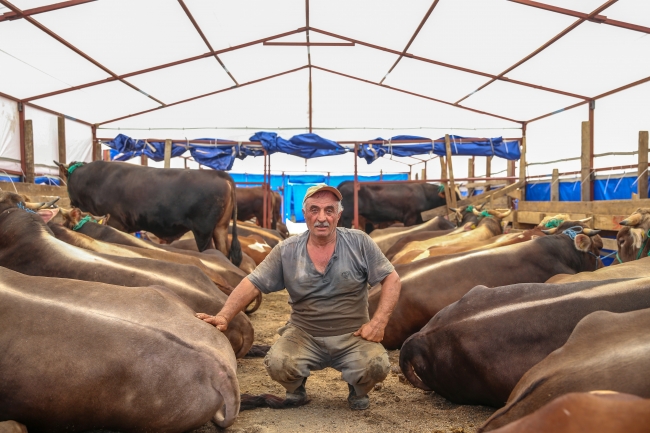 Doğu Anadolu'dan batı illerine kurbanlık sevkiyatı başladı