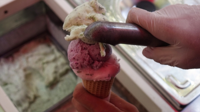 Kazdağları'ndan gelen bitkilerle rengarenk dondurmalar