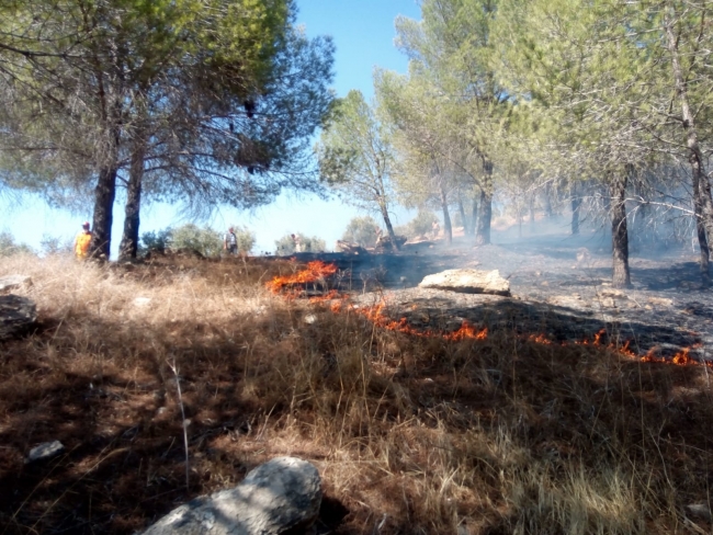 Afrin'de orman yangını