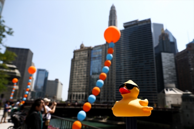 Chicago Nehri'nde plastik ördekler "özel" sporcular için yarıştı