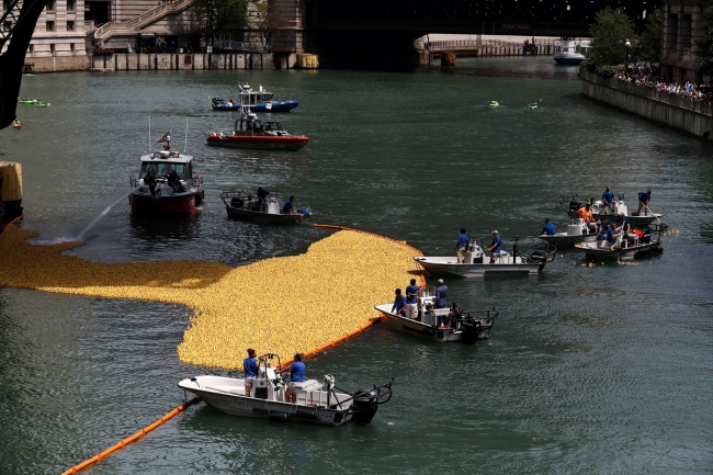 Chicago Nehri'nde plastik ördekler "özel" sporcular için yarıştı