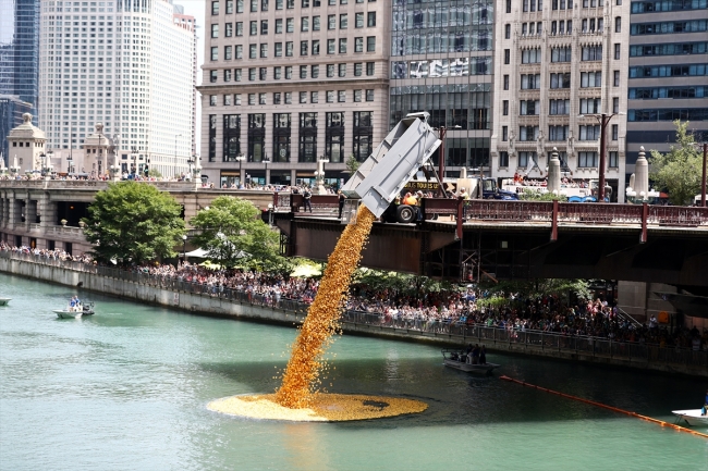 Chicago Nehri'nde plastik ördekler "özel" sporcular için yarıştı