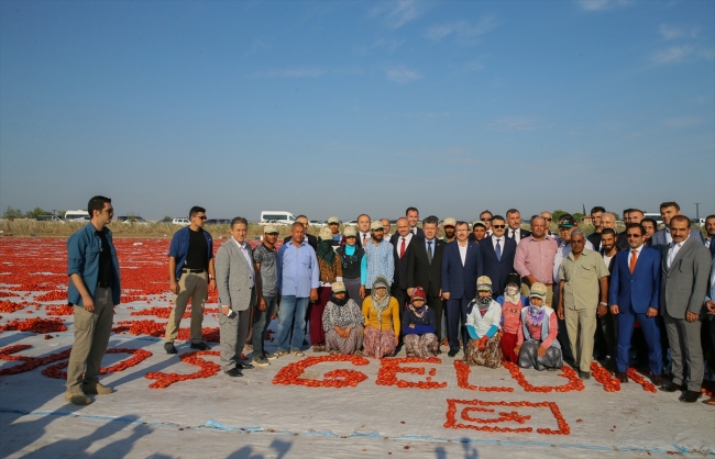Bakan Pakdemirli tarlada tarım işçileriyle kahvaltı yaptı