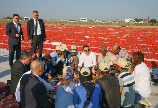 Bakan Pakdemirli tarlada tarım işçileriyle kahvaltı yaptı
