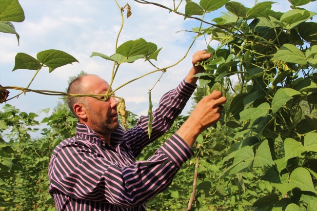 Pazaryeri boncuğu 7 milyon lira kazandıracak