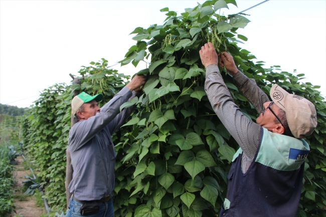 Pazaryeri boncuğu 7 milyon lira kazandıracak