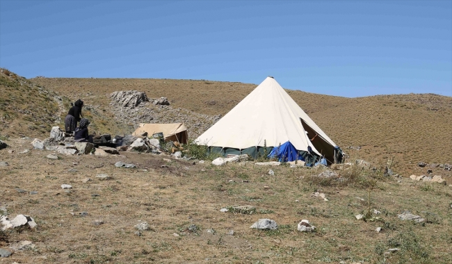 Aileleriyle yaylaya çıkan kadınların zorlu mesaisi