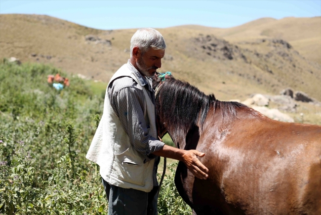 Aileleriyle yaylaya çıkan kadınların zorlu mesaisi