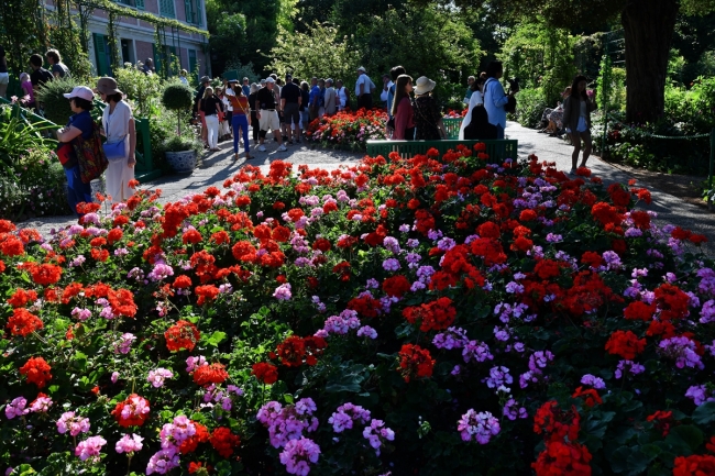 Fransız ressam Monet'nin ilham bahçesine yoğun ilgi