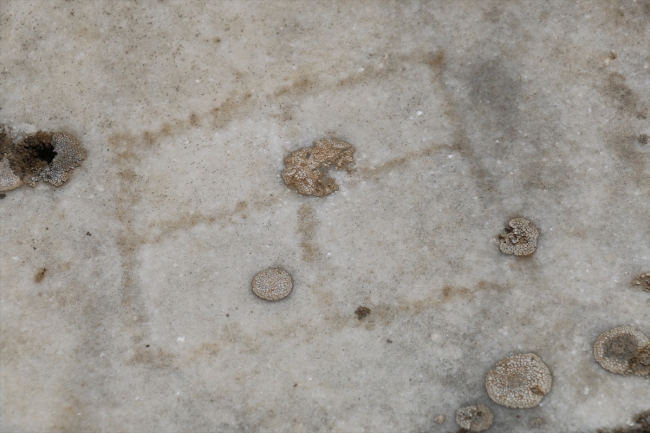 Afrodisyas Antik Kenti stadyumunda kombine izlerine rastlandı