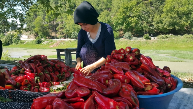 Biber salçasının sofraya lezzetli yolculuğu