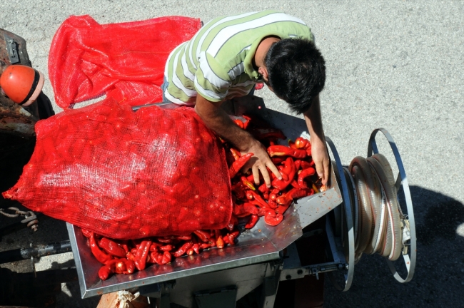 Biber salçasının sofraya lezzetli yolculuğu