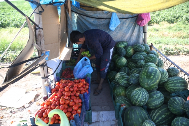"Göbeklitepe çiftçisi" bölgede turizmin canlanmasından memnun