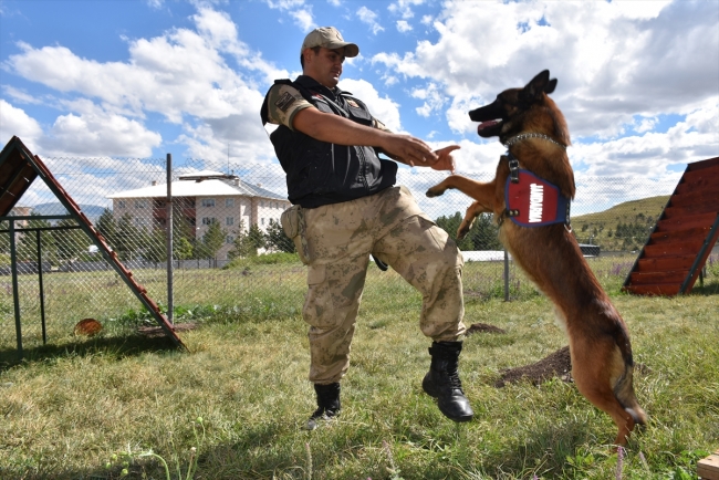Narkotik köpeği "Obur" patlayıcılara geçit vermiyor