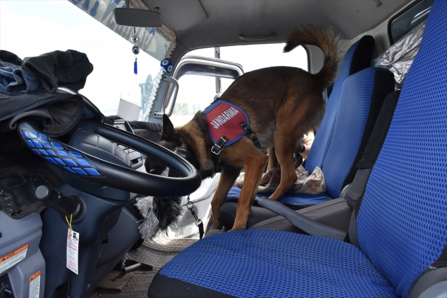 Narkotik köpeği "Obur" patlayıcılara geçit vermiyor