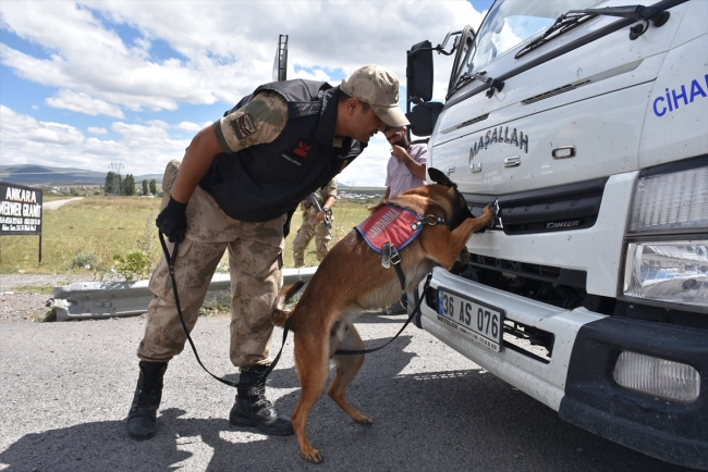 Narkotik köpeği "Obur" patlayıcılara geçit vermiyor