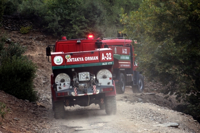 Hatay'da orman yangını