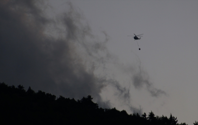 Hatay'da orman yangını