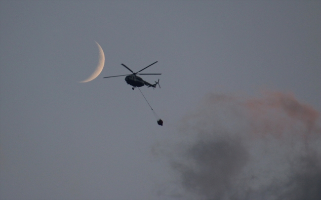 Hatay'da orman yangını