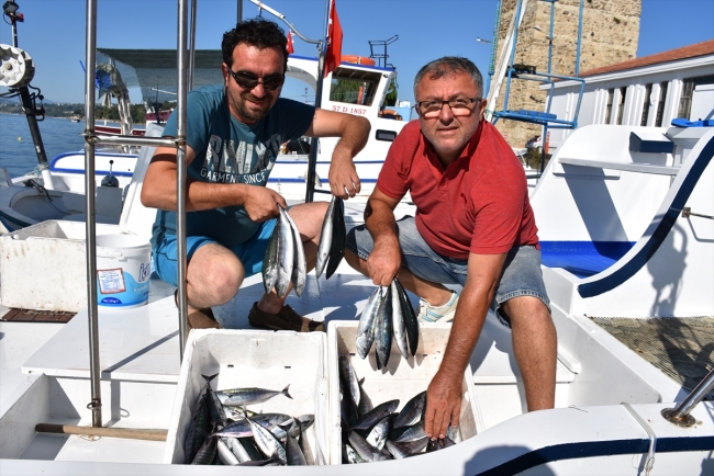 Sezonun ilk palamutları tezgahlarda yerini aldı