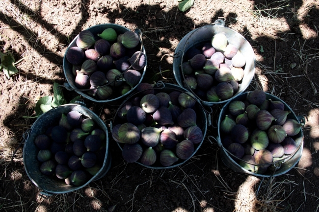 "Bursa siyahı" için gümrükte nöbetçi talebi