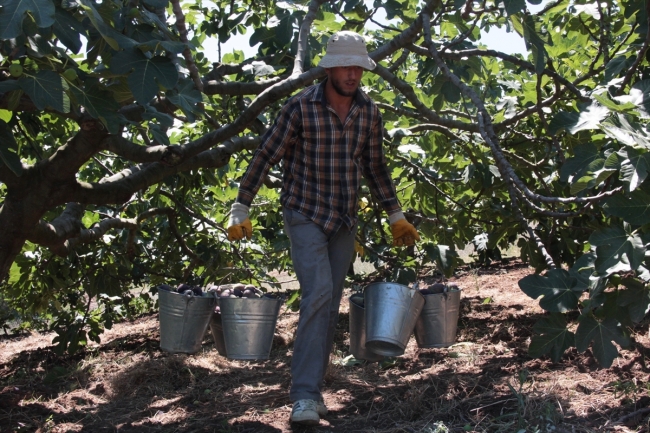 "Bursa siyahı" için gümrükte nöbetçi talebi