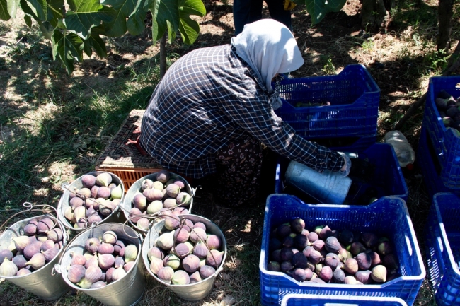 "Bursa siyahı" için gümrükte nöbetçi talebi