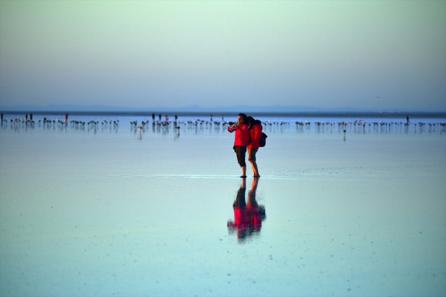 Turistlerin gözdesi Tuz Gölü'nü flamingolar süslüyor