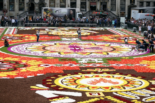 Brüksel Grand Palace meydanına 500 bin çiçekli dev halı