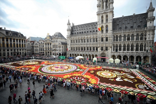 Brüksel Grand Palace meydanına 500 bin çiçekli dev halı